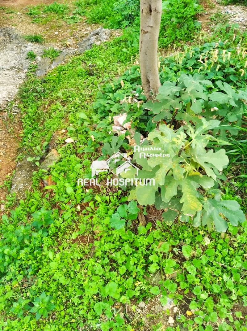Building Plot in Micheli, Ilion