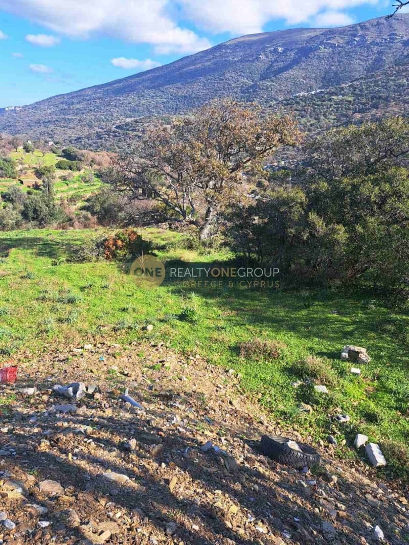 Αγροτεμάχιο στην Αλαδινό, Άνδρος — Φωτογραφία 5 από 16