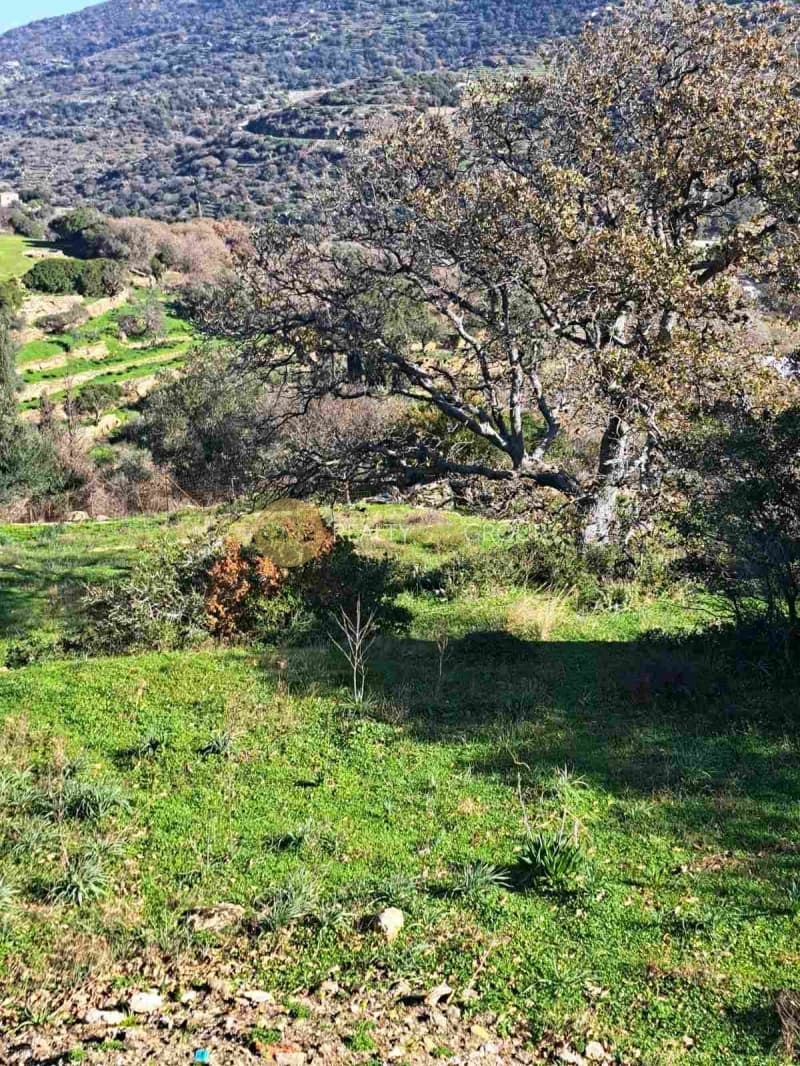 Αγροτεμάχιο στην Αλαδινό, Άνδρος — Φωτογραφία 10 από 16