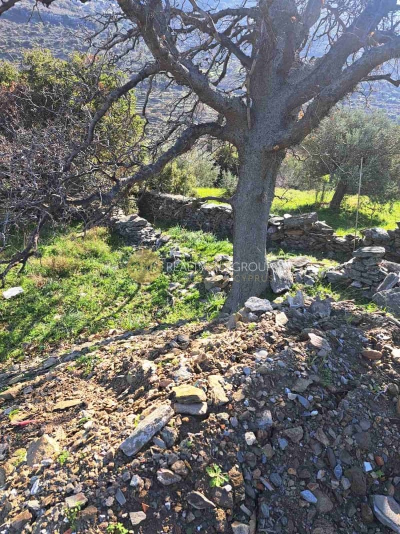 Αγροτεμάχιο στην Αλαδινό, Άνδρος — Φωτογραφία 3 από 16