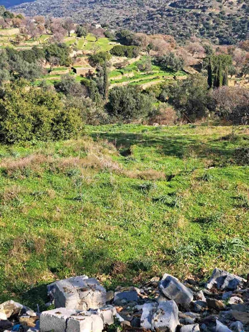 Αγροτεμάχιο στην Αλαδινό, Άνδρος — Φωτογραφία 11 από 16