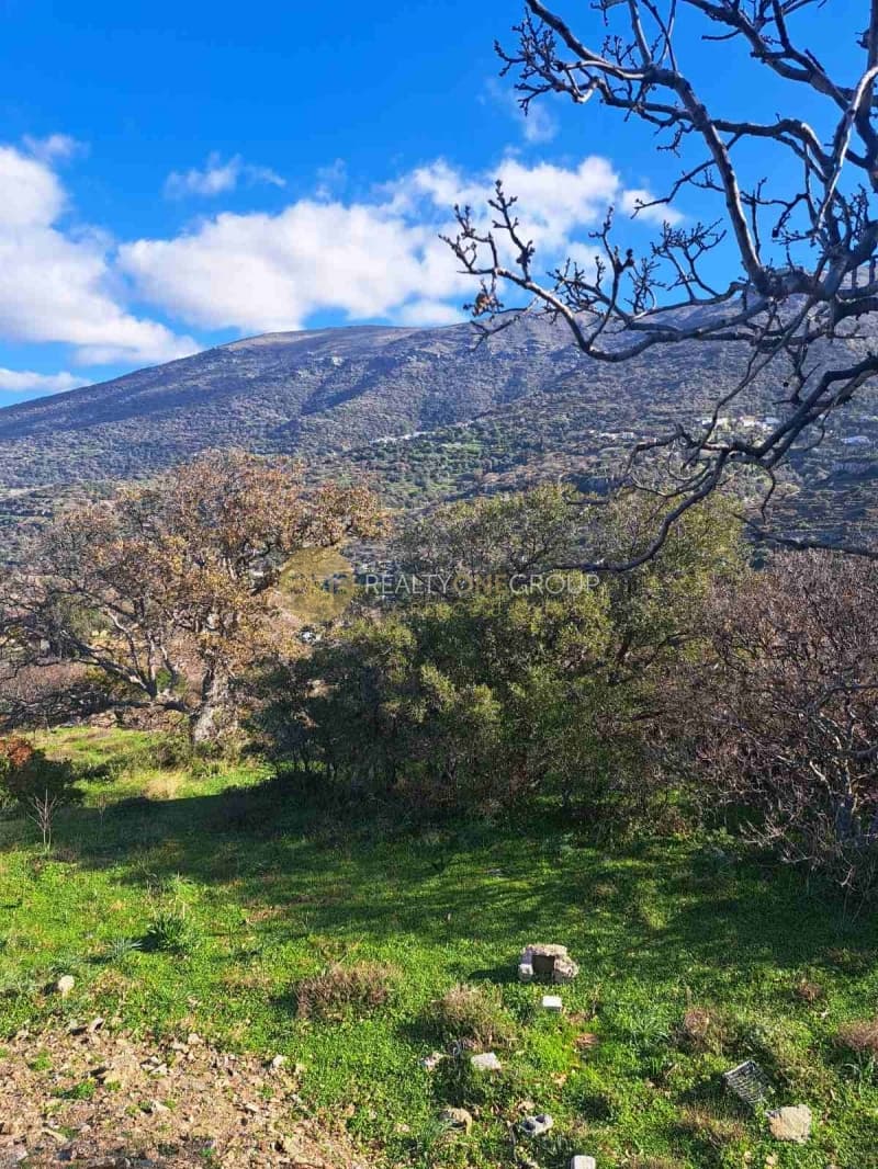 Αγροτεμάχιο στην Αλαδινό, Άνδρος — Φωτογραφία 6 από 16