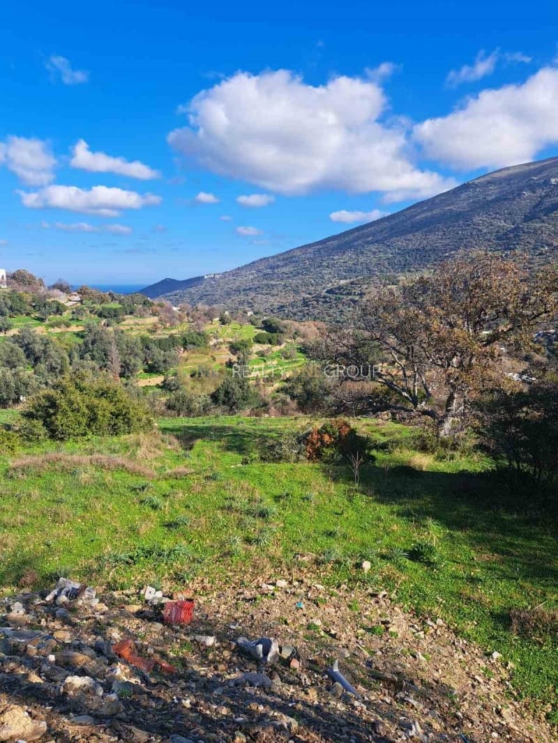 Αγροτεμάχιο στην Αλαδινό, Άνδρος — Φωτογραφία 7 από 16