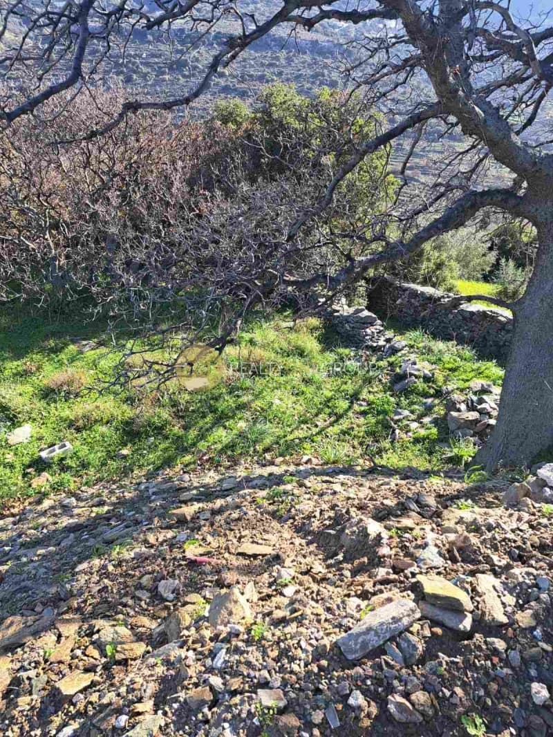 Αγροτεμάχιο στην Αλαδινό, Άνδρος — Φωτογραφία 2 από 16