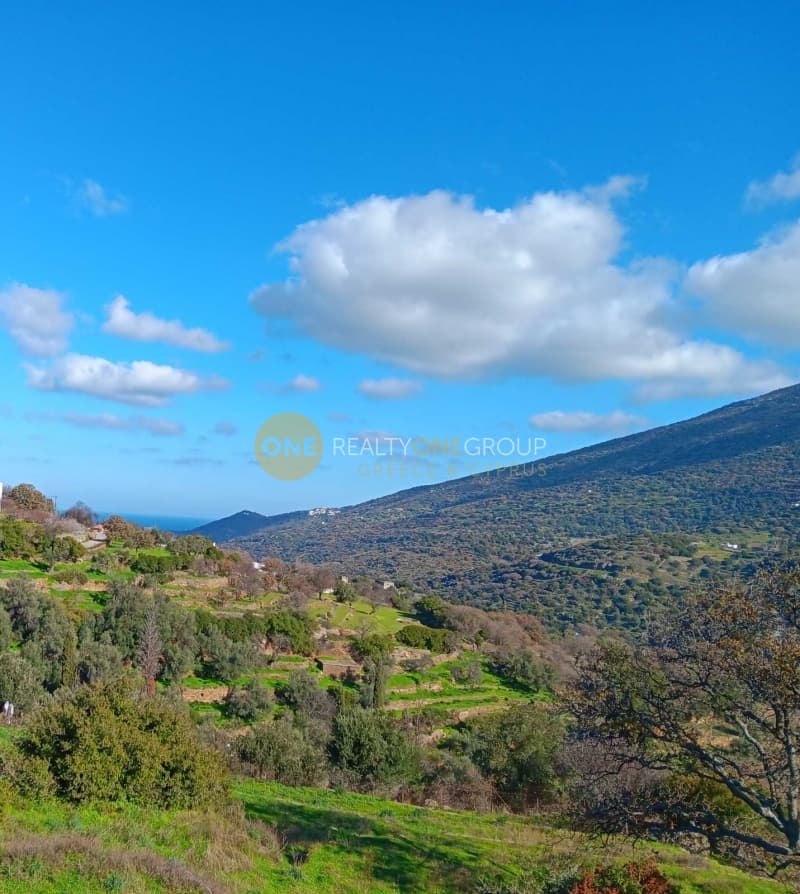 Αγροτεμάχιο στην Αλαδινό, Άνδρος — Φωτογραφία 13 από 16