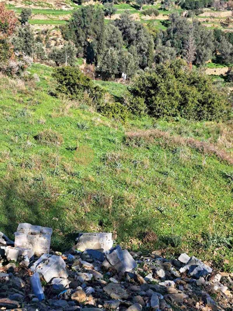Αγροτεμάχιο στην Αλαδινό, Άνδρος — Φωτογραφία 8 από 16