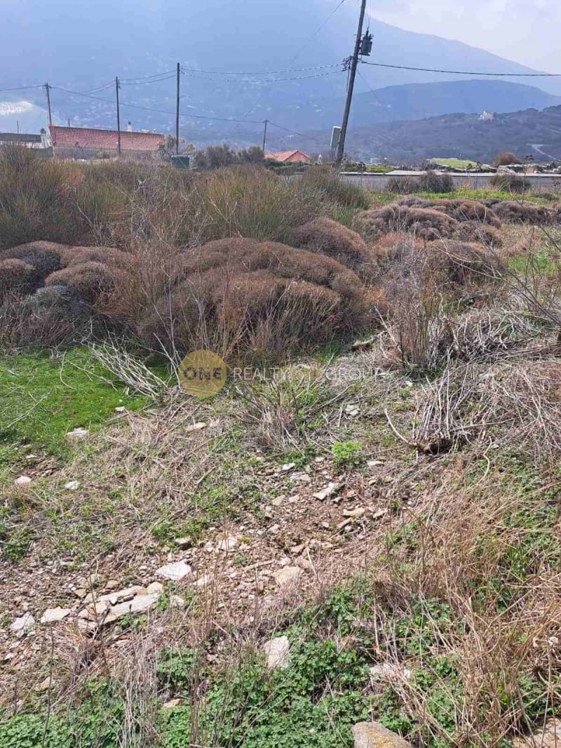 Αγροτεμάχιο στην Όρμος Κορθίου, Άνδρος — Φωτογραφία 11 από 12