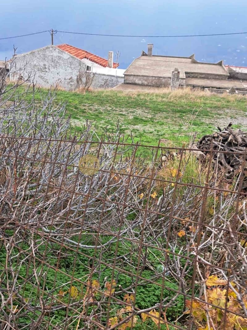 Αγροτεμάχιο στην Όρμος Κορθίου, Άνδρος — Φωτογραφία 1 από 9