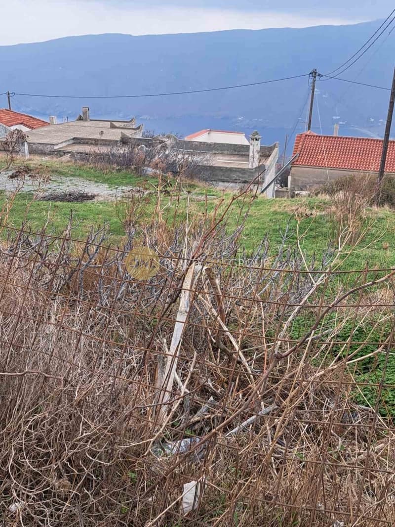 Αγροτεμάχιο στην Όρμος Κορθίου, Άνδρος — Φωτογραφία 4 από 9