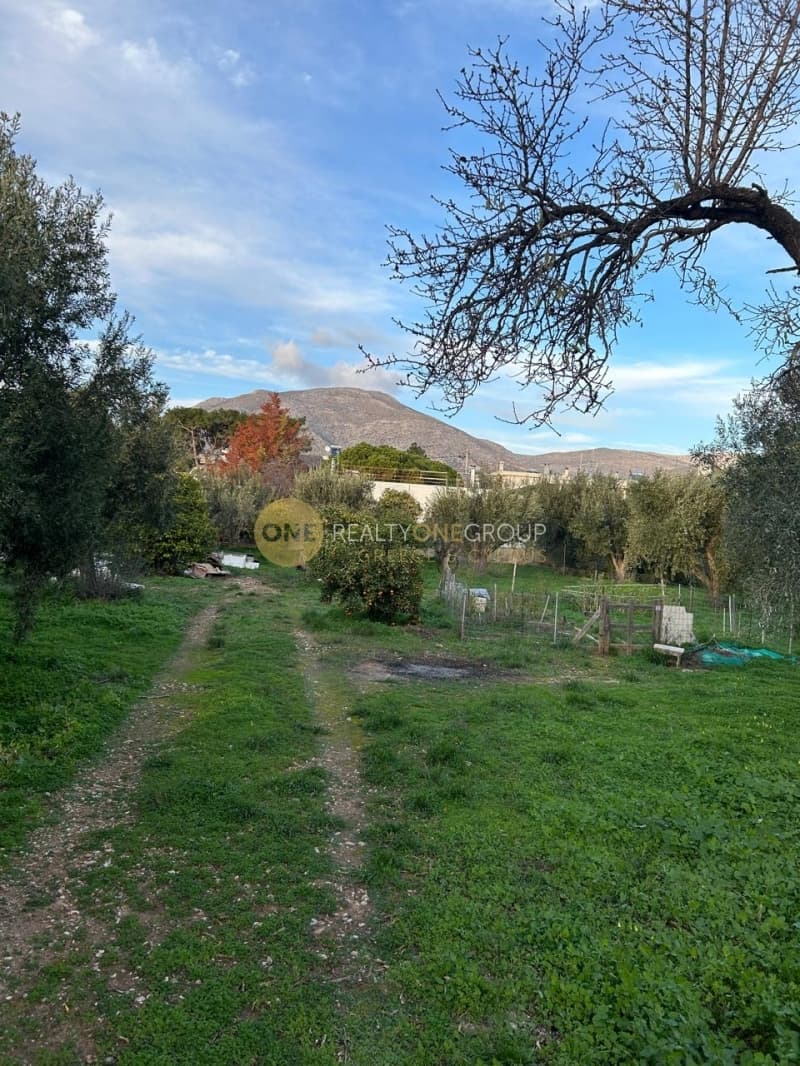 Building Plot in Kalivia, Kalivia Thorikou — Photo 1 of 4