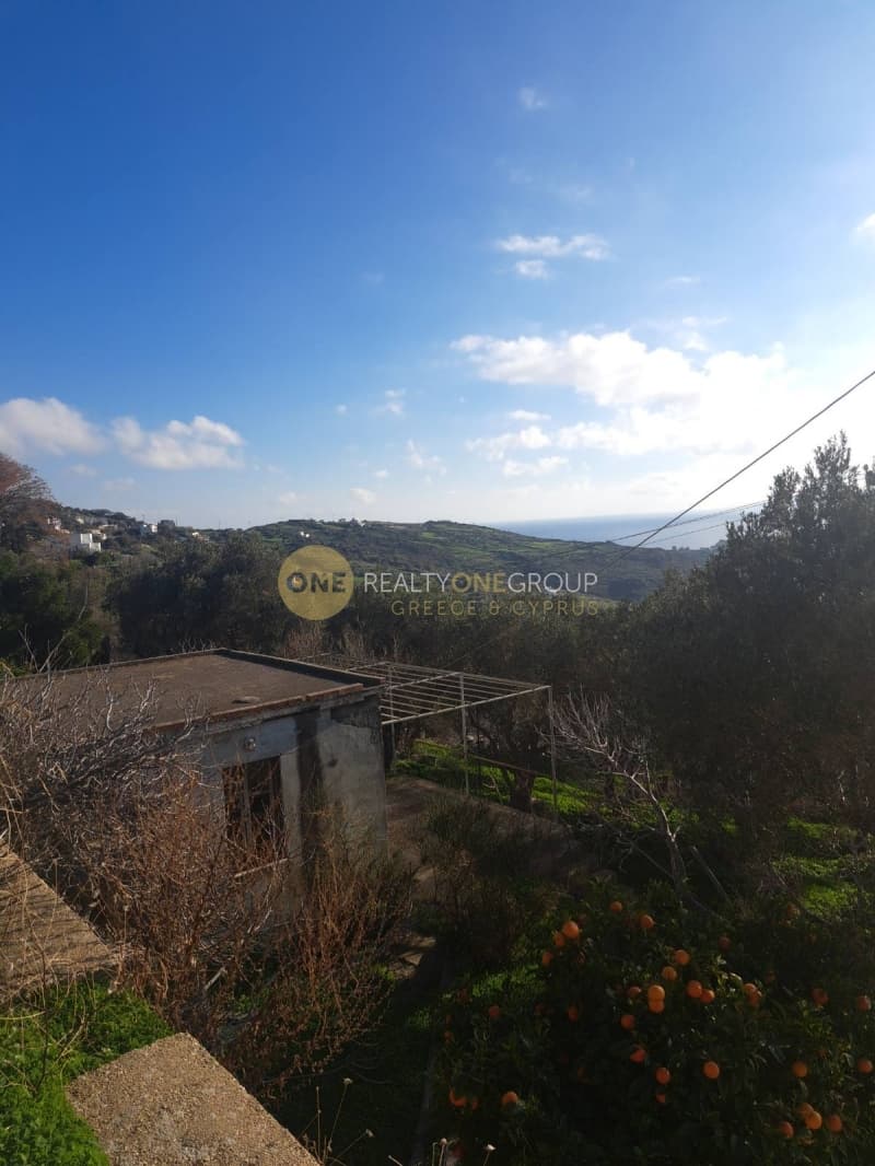 Αγροτεμάχιο στην Άνω Απρόβατο, Άνδρος — Φωτογραφία 12 από 20