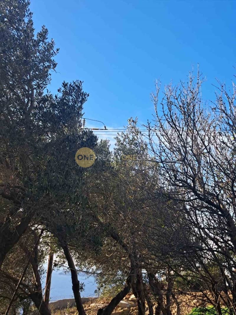 Αγροτεμάχιο στην Άνω Απρόβατο, Άνδρος — Φωτογραφία 11 από 20