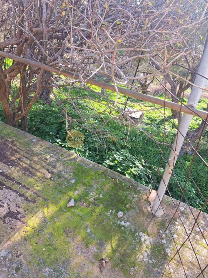 Αγροτεμάχιο στην Άνω Απρόβατο, Άνδρος — Φωτογραφία 13 από 20