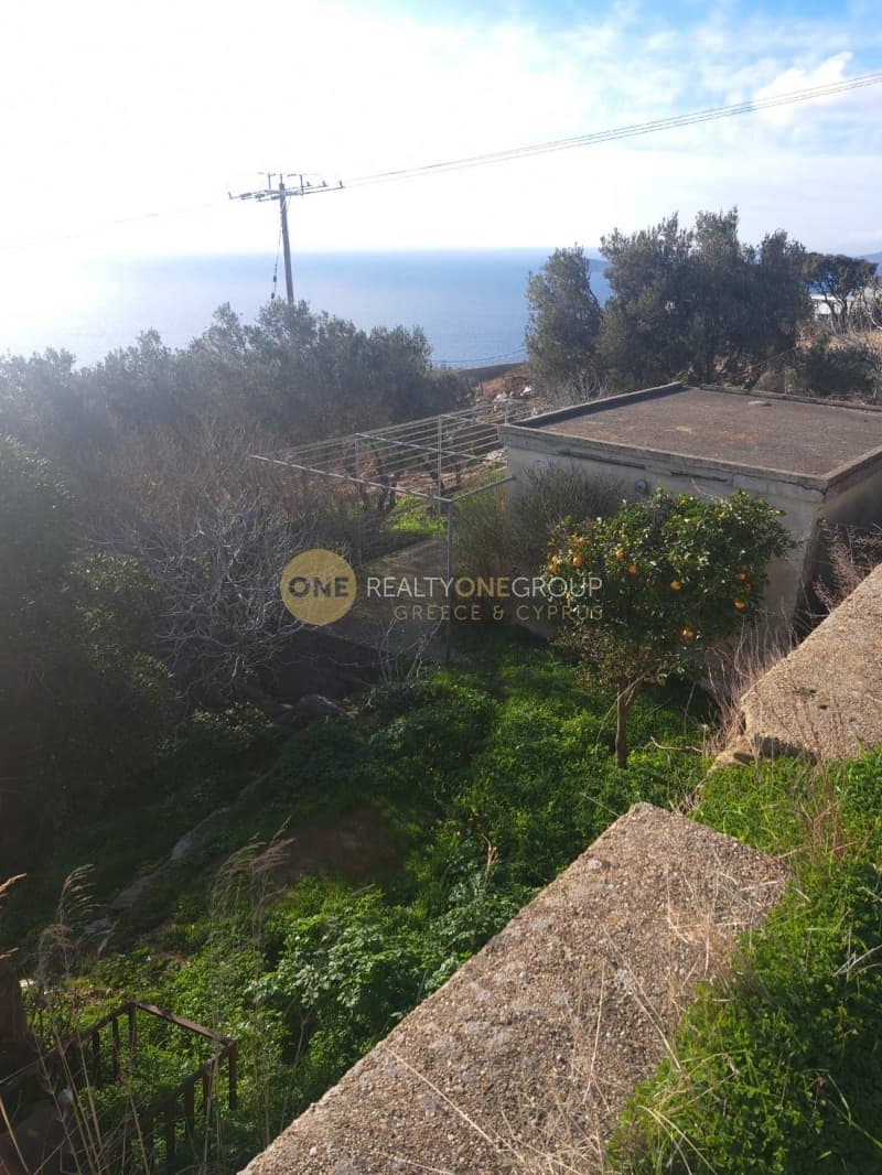 Αγροτεμάχιο στην Άνω Απρόβατο, Άνδρος — Φωτογραφία 3 από 20