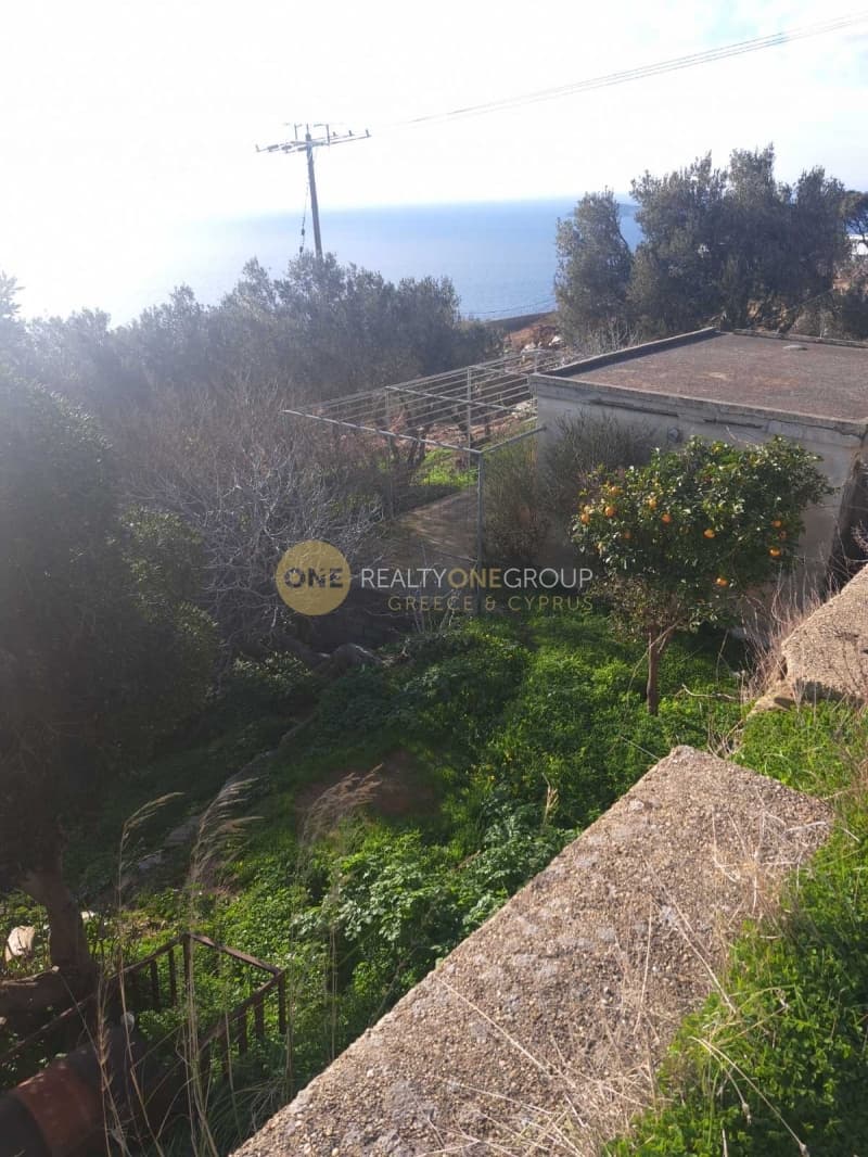 Αγροτεμάχιο στην Άνω Απρόβατο, Άνδρος — Φωτογραφία 2 από 20