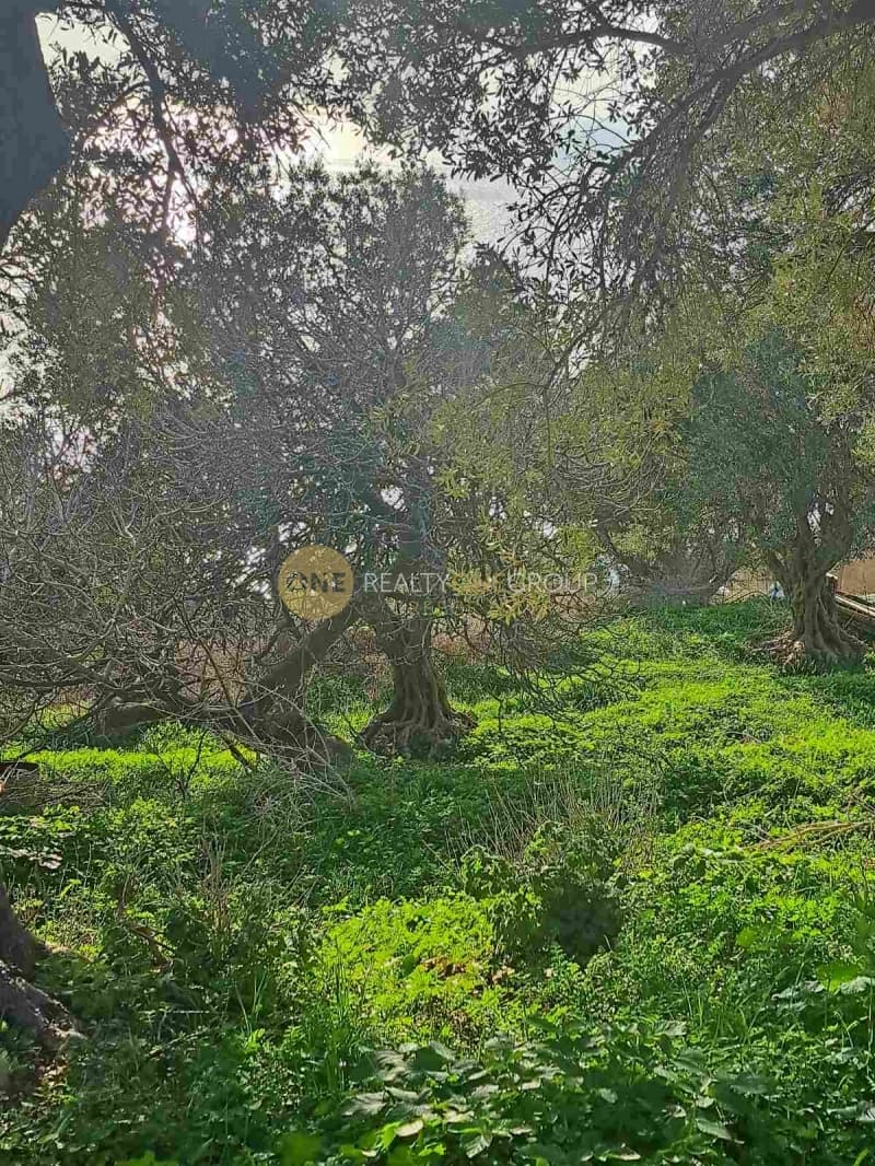 Αγροτεμάχιο στην Άνω Απρόβατο, Άνδρος — Φωτογραφία 19 από 20