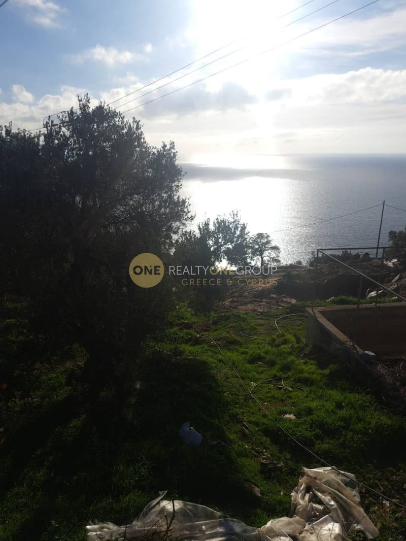 Αγροτεμάχιο στην Άνω Απρόβατο, Άνδρος — Φωτογραφία 8 από 20