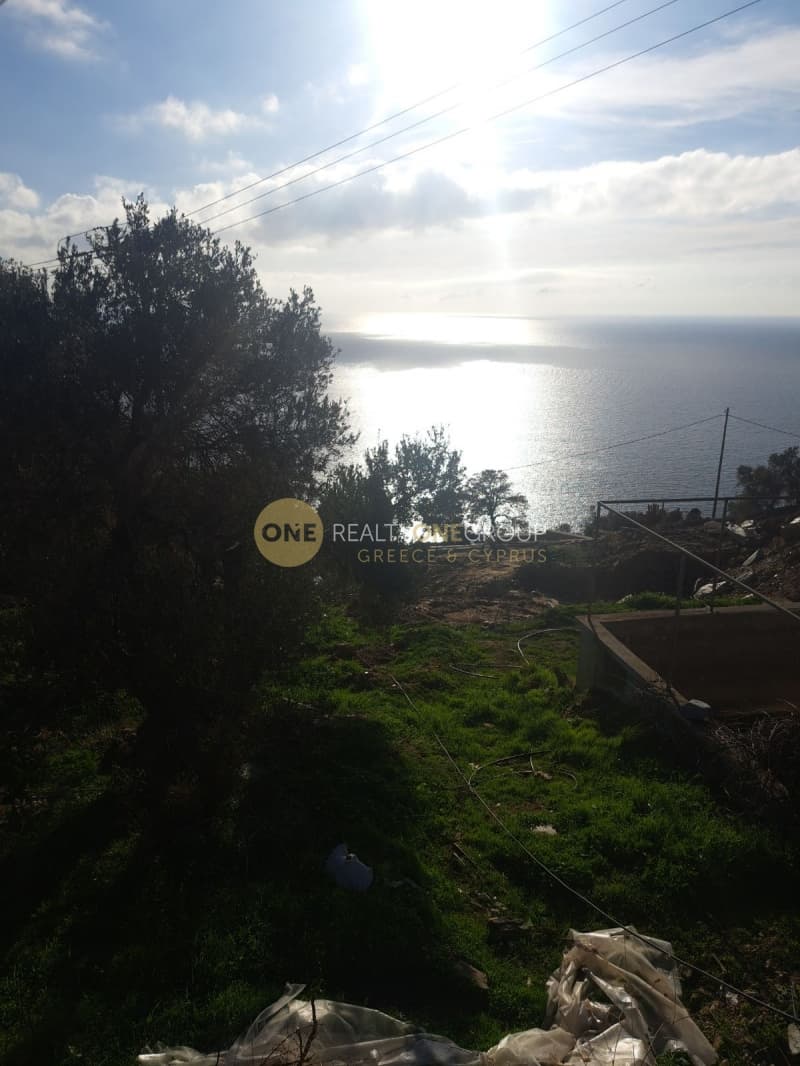 Αγροτεμάχιο στην Άνω Απρόβατο, Άνδρος — Φωτογραφία 7 από 20