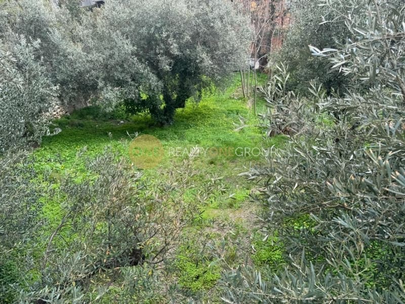 Building Plot in Zirineio, Kifisia — Photo 5 of 9