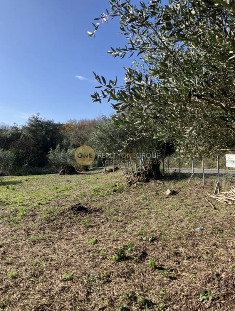 Parcel in Palaiokastritsa, Corfu — Photo 4 of 21