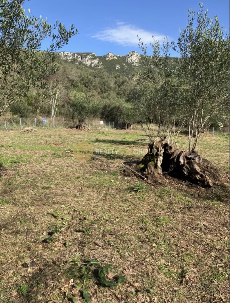 Parcel in Palaiokastritsa, Corfu — Photo 19 of 21