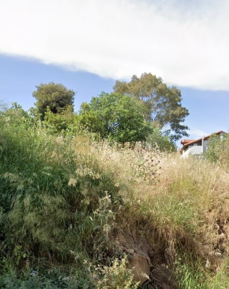 Οικόπεδο στην Κεφαλάρι, Κηφισιά — Φωτογραφία 3 από 3