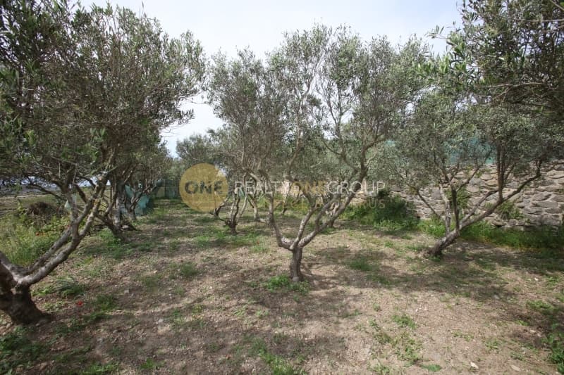 Μονοκατοικία στην Βιτάλι, Άνδρος — Φωτογραφία 12 από 30