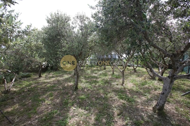 Μονοκατοικία στην Βιτάλι, Άνδρος — Φωτογραφία 27 από 30