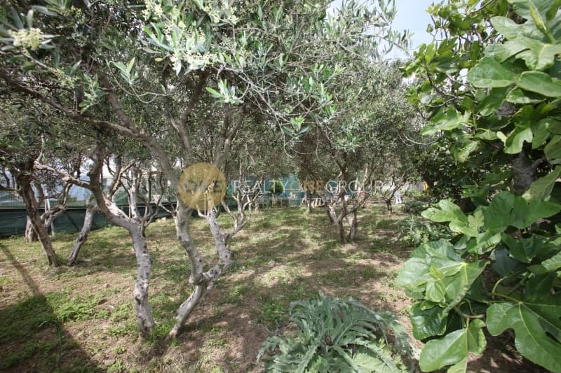 Μονοκατοικία στην Βιτάλι, Άνδρος — Φωτογραφία 28 από 30