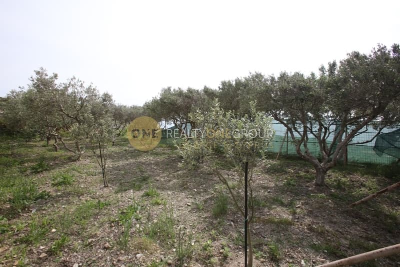 Μονοκατοικία στην Βιτάλι, Άνδρος — Φωτογραφία 25 από 30