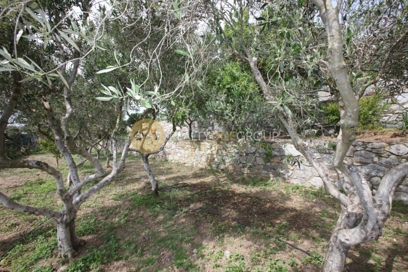 Μονοκατοικία στην Βιτάλι, Άνδρος — Φωτογραφία 21 από 30