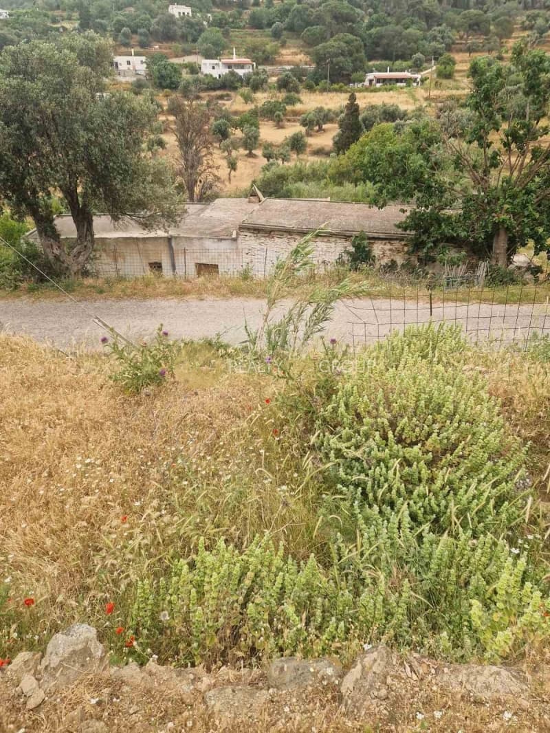 Οικόπεδο στην Άνω Απρόβατο, Άνδρος — Φωτογραφία 2 από 5