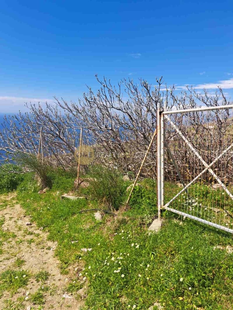 Οικόπεδο στην Άνω Απρόβατο, Άνδρος — Φωτογραφία 15 από 16