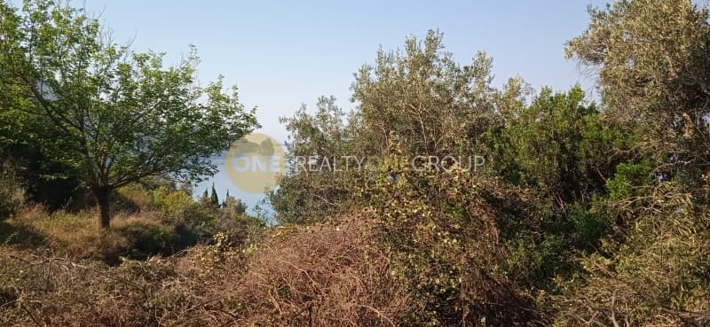 Parcel in Achilleio, Corfu — Photo 9 of 9
