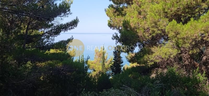 Parcel in Achilleio, Corfu — Photo 6 of 9