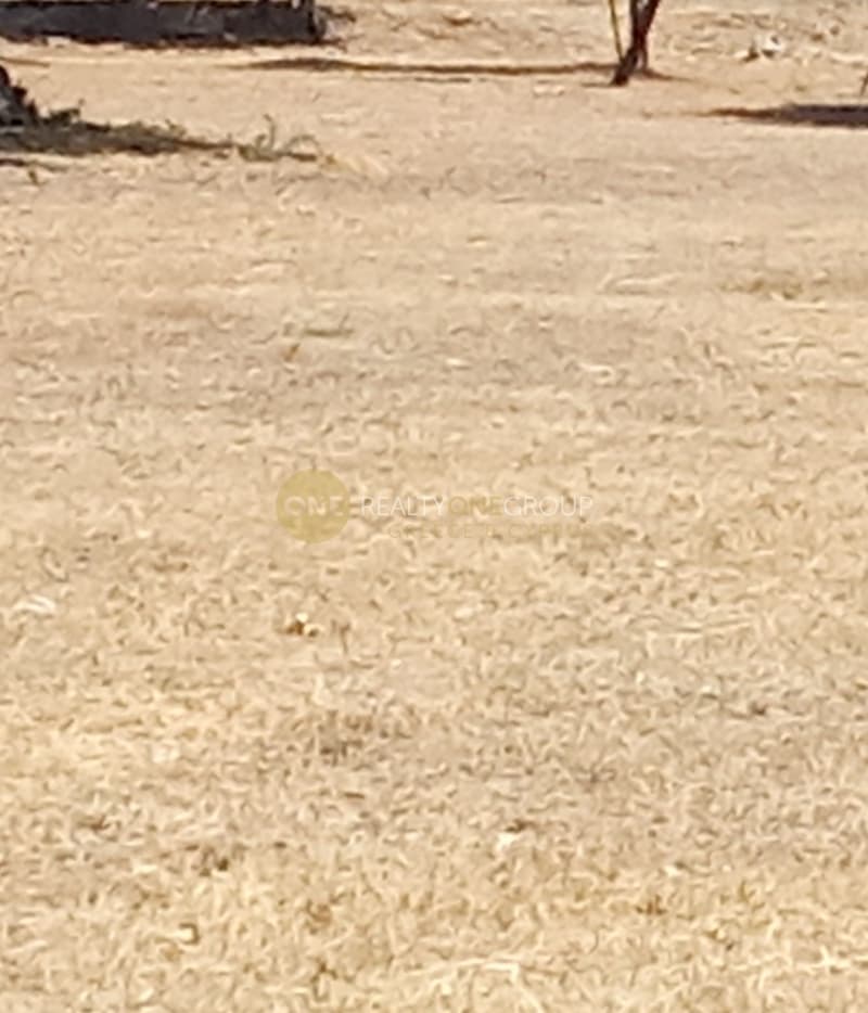 Parcel in Rountzeri Lemprou, Keratea — Photo 2 of 2