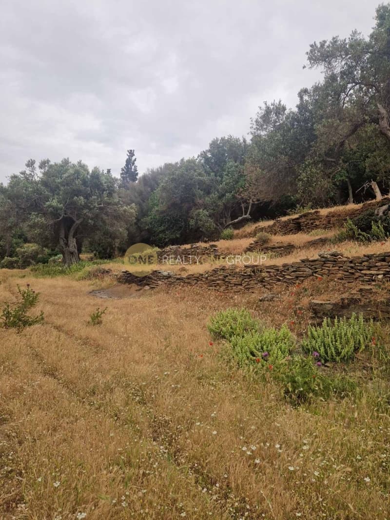 Parcel in Ano Aprovato, Andros — Photo 4 of 5