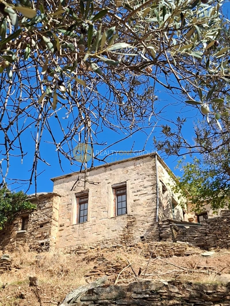 Αγροτεμάχιο στην Άνω Γαύριο, Άνδρος — Φωτογραφία 4 από 30