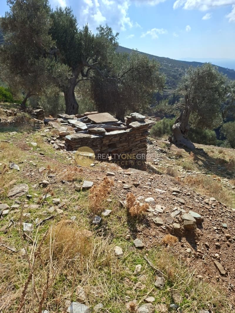 Αγροτεμάχιο στην Άνω Γαύριο, Άνδρος — Φωτογραφία 11 από 30
