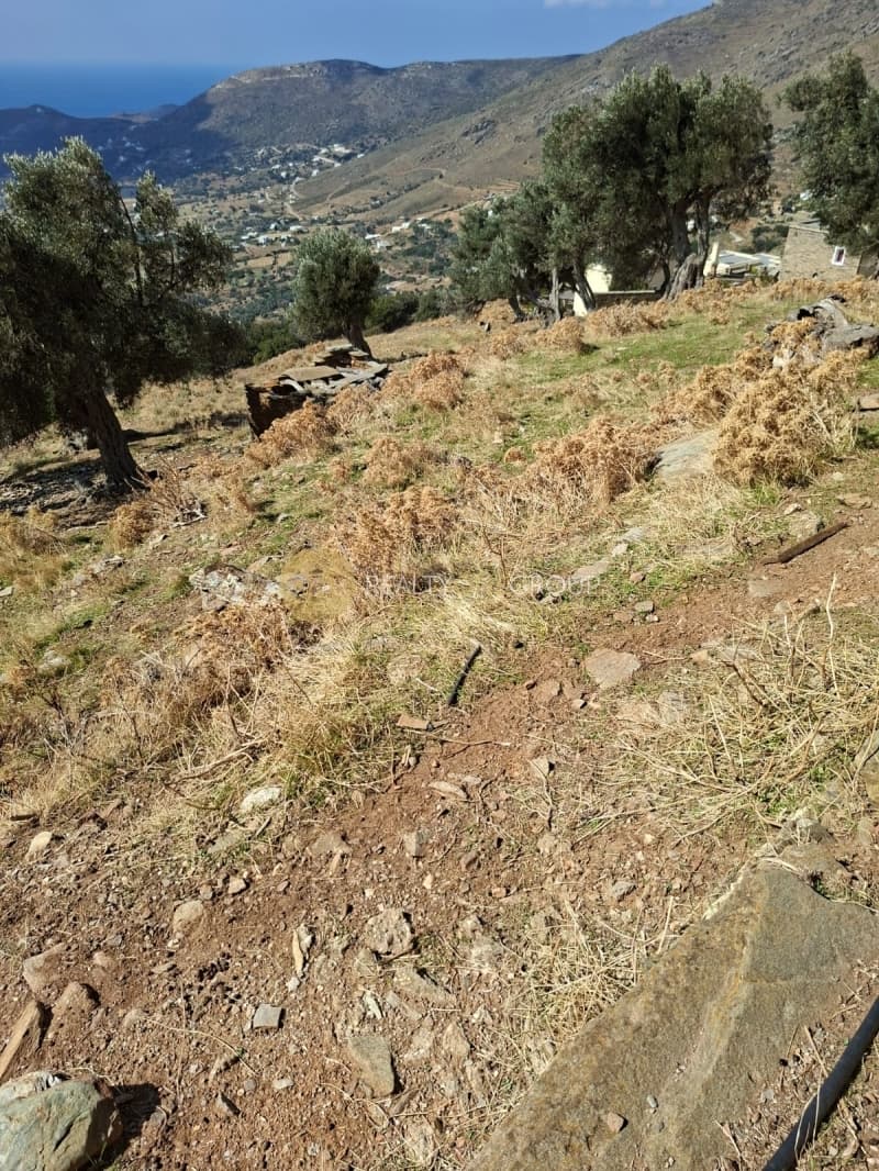 Αγροτεμάχιο στην Άνω Γαύριο, Άνδρος — Φωτογραφία 18 από 30