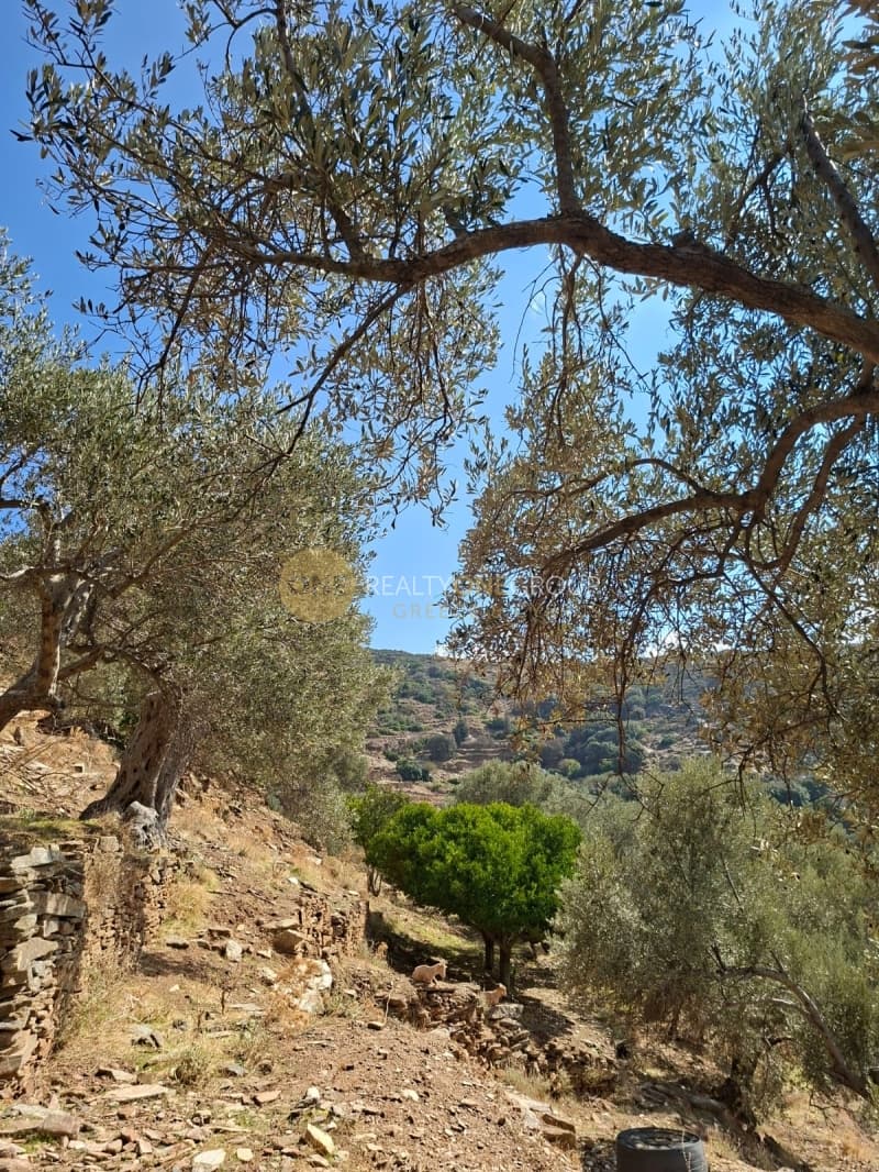 Αγροτεμάχιο στην Άνω Γαύριο, Άνδρος — Φωτογραφία 5 από 30