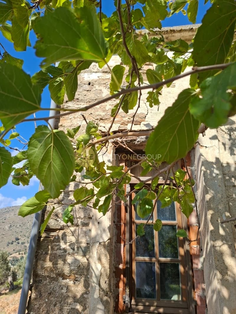 Αγροτεμάχιο στην Άνω Γαύριο, Άνδρος — Φωτογραφία 20 από 30