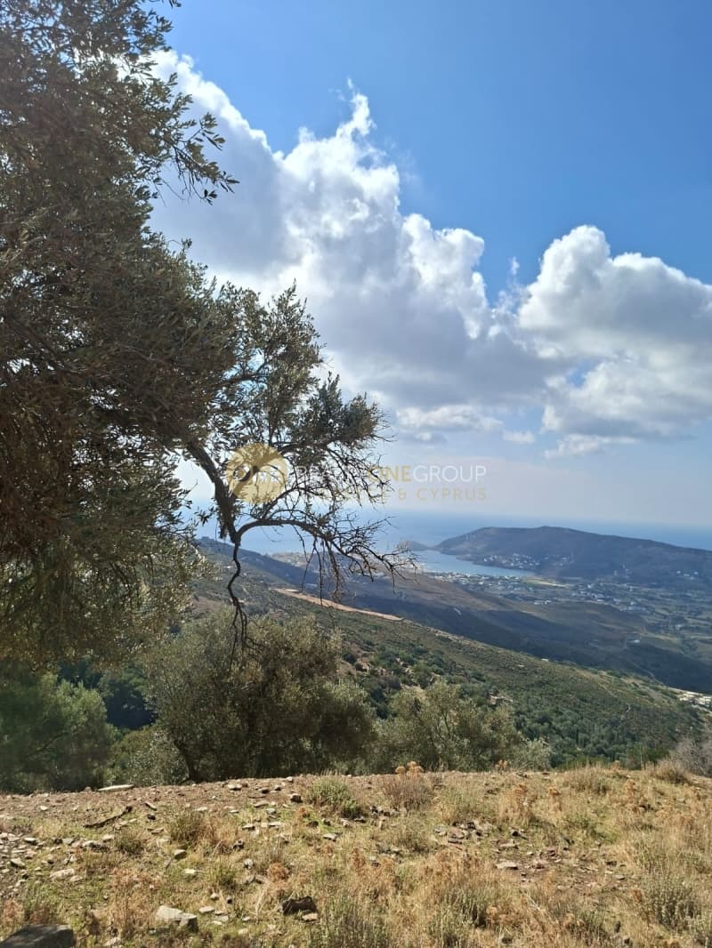 Αγροτεμάχιο στην Άνω Γαύριο, Άνδρος — Φωτογραφία 7 από 30