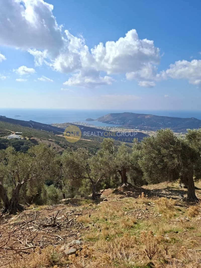 Αγροτεμάχιο στην Άνω Γαύριο, Άνδρος — Φωτογραφία 16 από 30