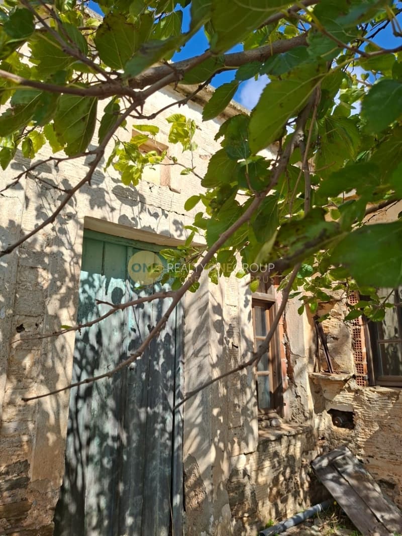 Αγροτεμάχιο στην Άνω Γαύριο, Άνδρος — Φωτογραφία 23 από 30