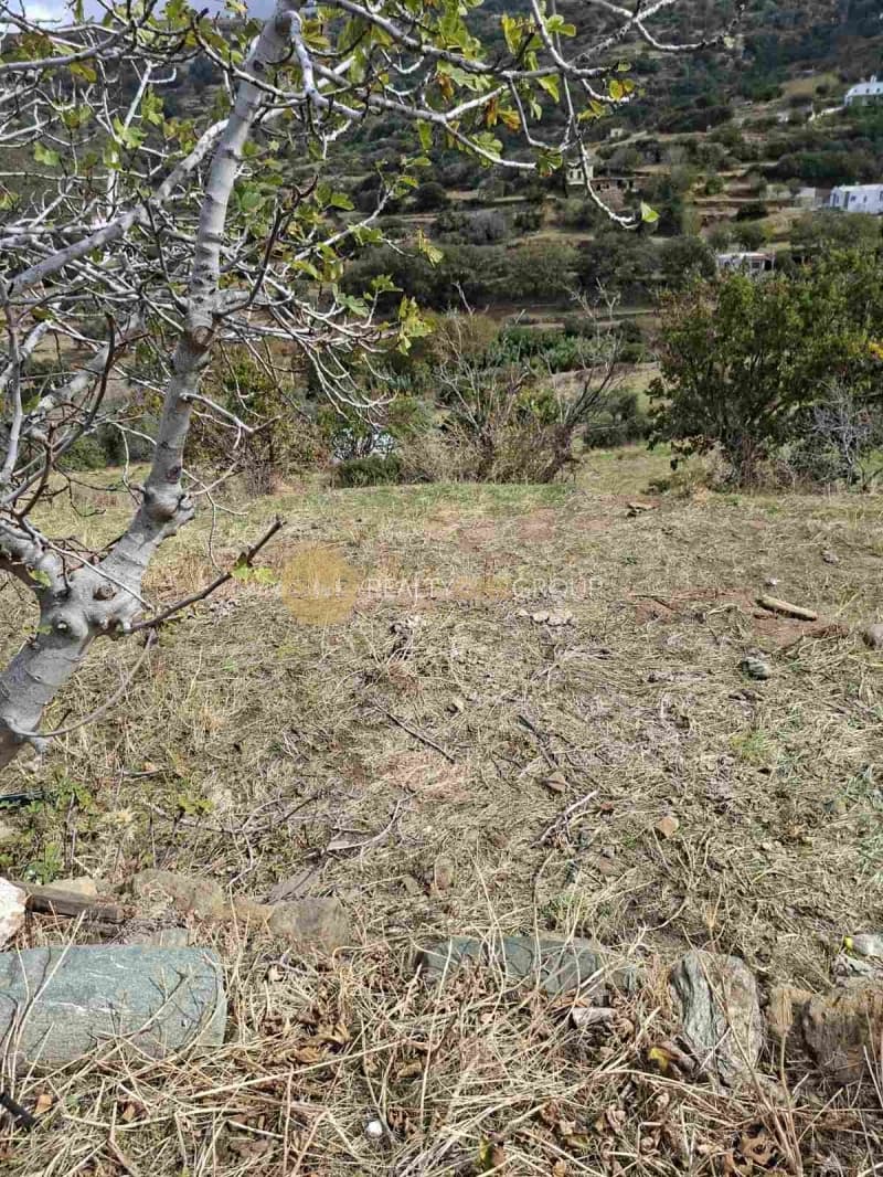 Αγροτεμάχιο στην Άνω Απρόβατο, Άνδρος — Φωτογραφία 22 από 22