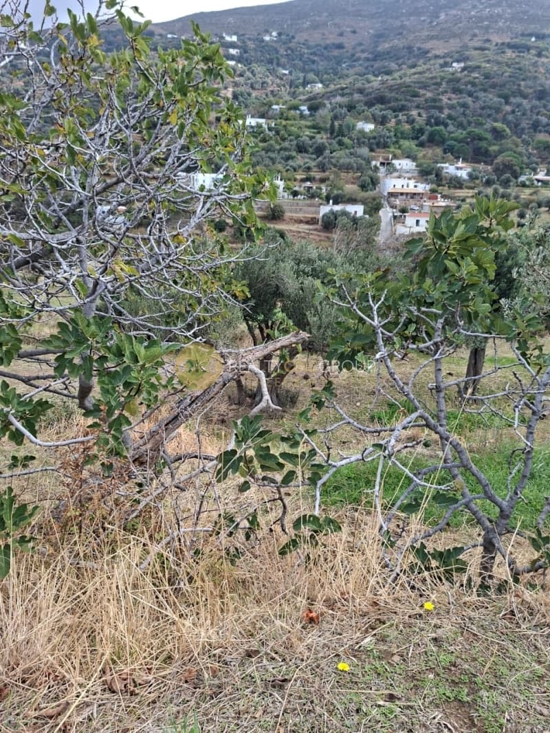Μονοκατοικία στην Άνω Απρόβατο, Άνδρος — Φωτογραφία 23 από 30