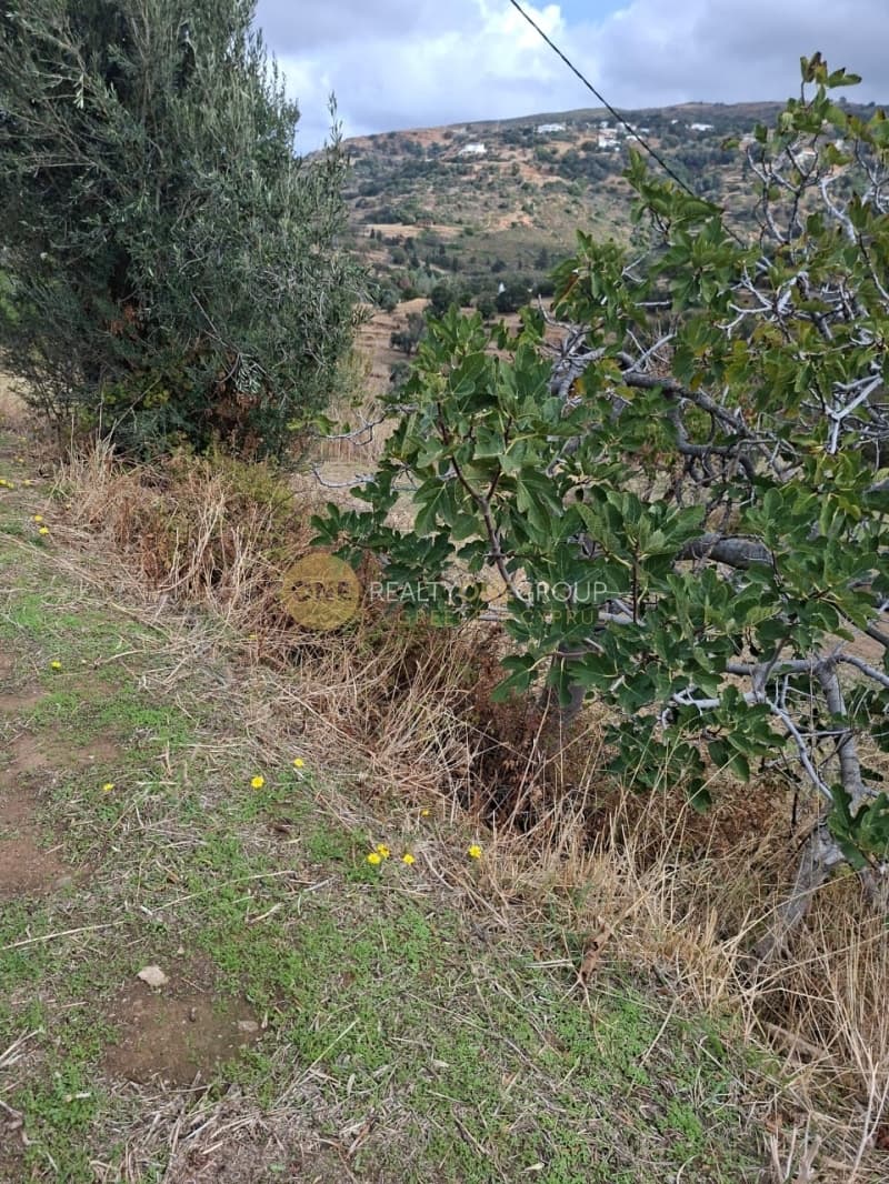 Μονοκατοικία στην Άνω Απρόβατο, Άνδρος — Φωτογραφία 20 από 30