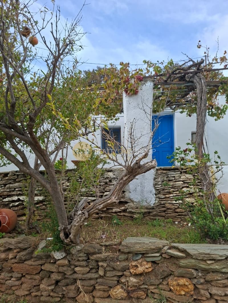 Μονοκατοικία στην Άνω Απρόβατο, Άνδρος — Φωτογραφία 2 από 30