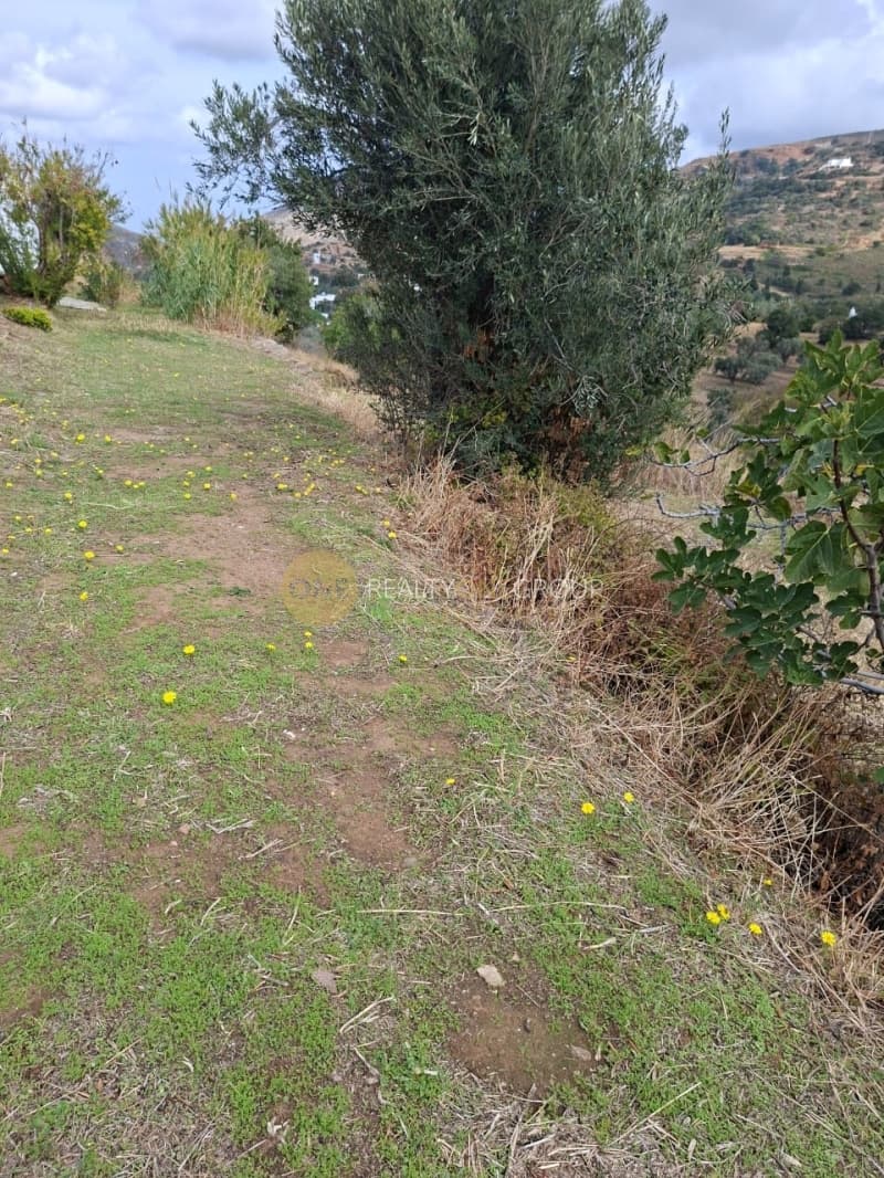 Μονοκατοικία στην Άνω Απρόβατο, Άνδρος — Φωτογραφία 14 από 30